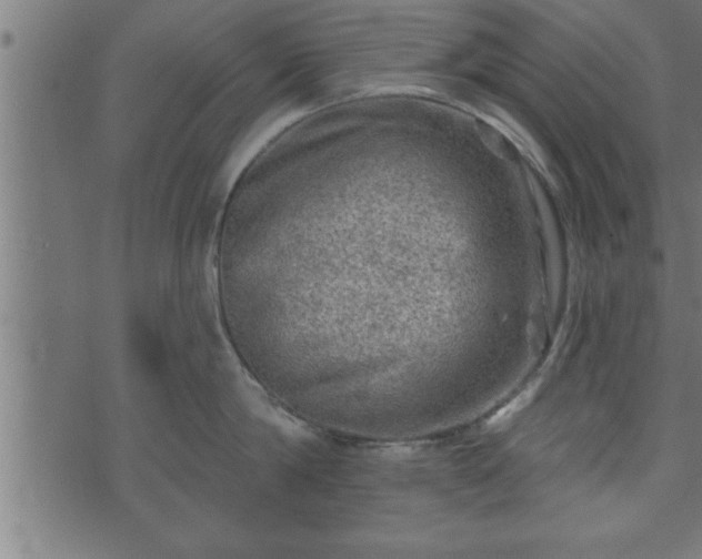 X0000073890814200608180932