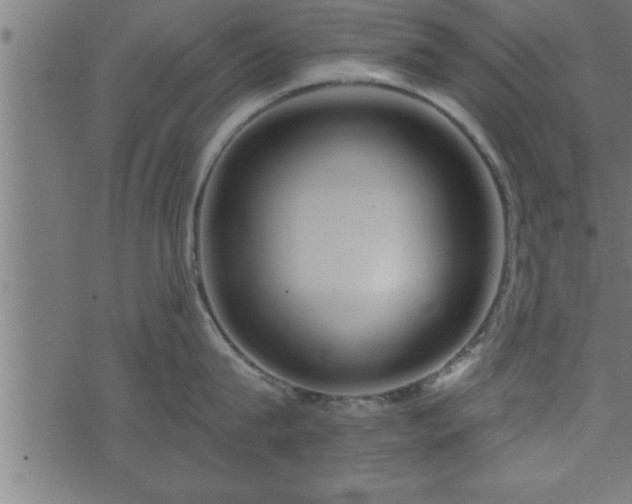 X0000073890815200608180932