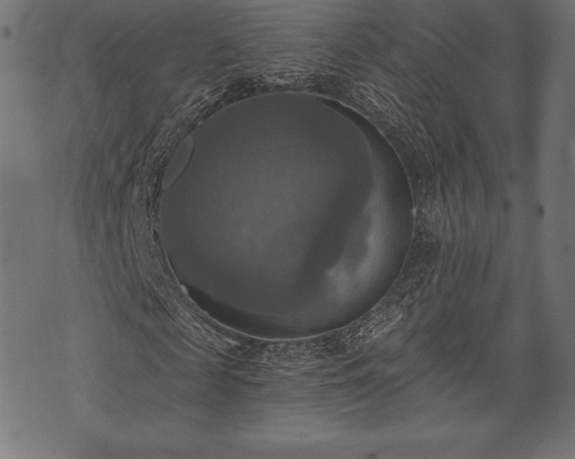 X0000073890817200608180931