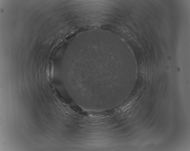 X0000073890818200608180931