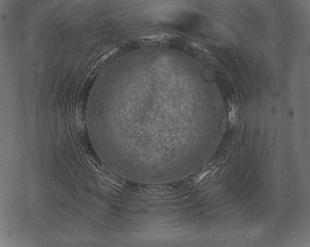 X0000073890819200608180931