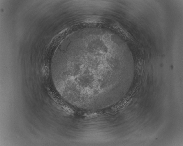 X0000073890821200608180931