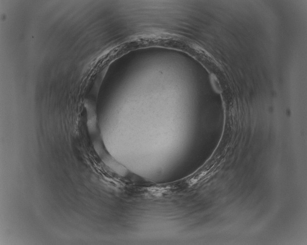 X0000073890822200608180931