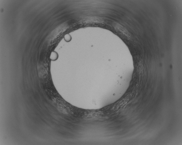 X0000073890824200608180931