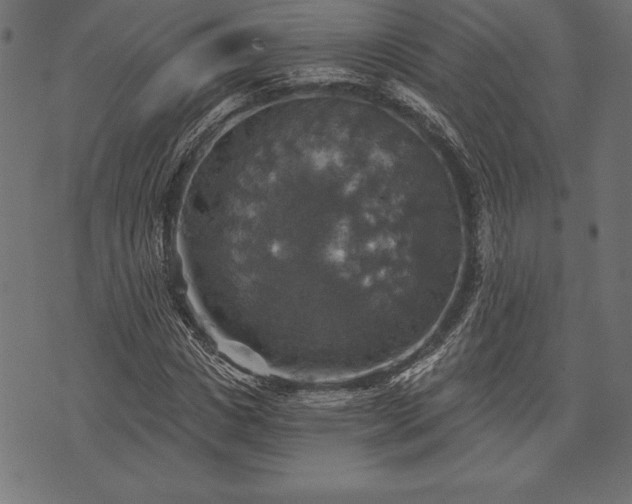 X0000073890825200608180931