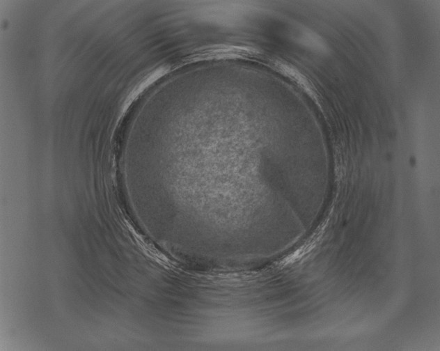 X0000073890827200608180931