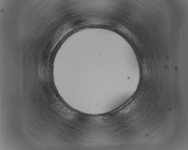 X0000073890828200608180931