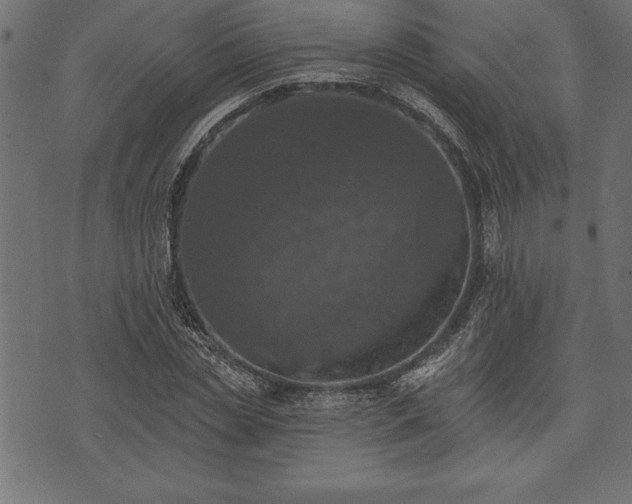 X0000073890829200608180931