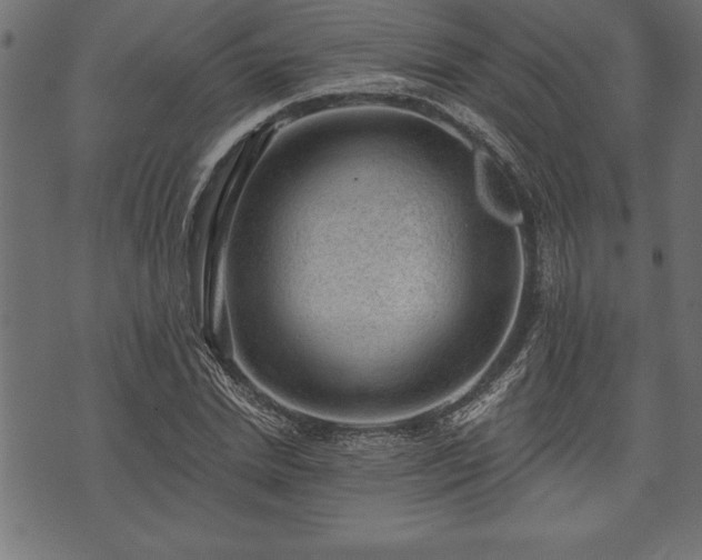 X0000073890830200608180931