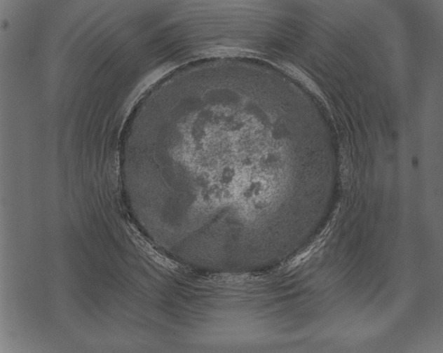 X0000073890831200608180931