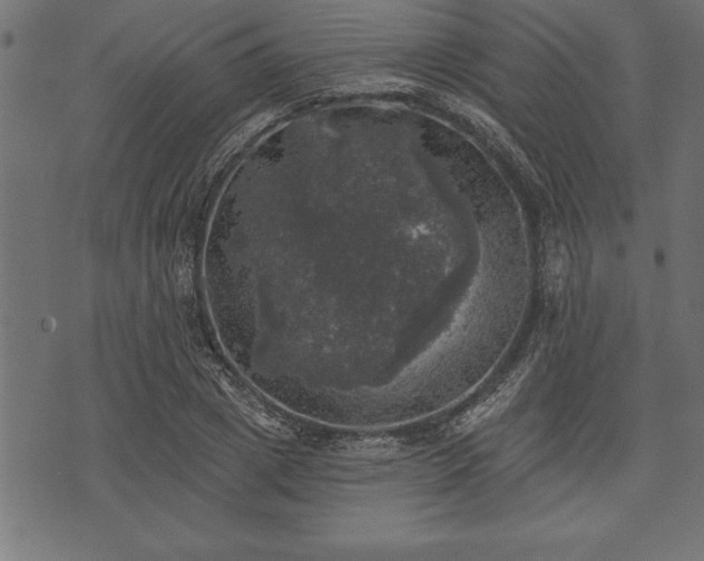 X0000073890833200608180931