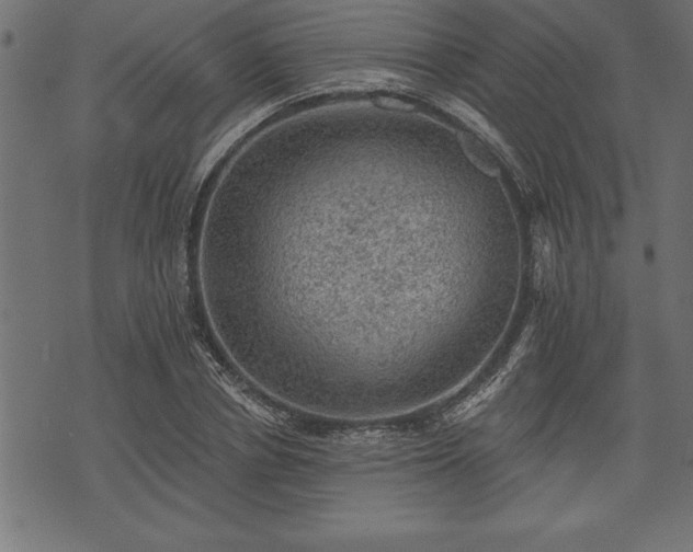 X0000073890834200608180931