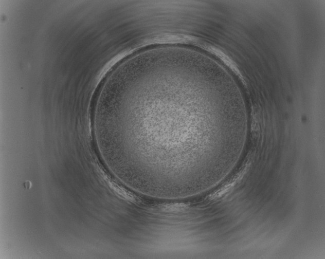 X0000073890837200608180931