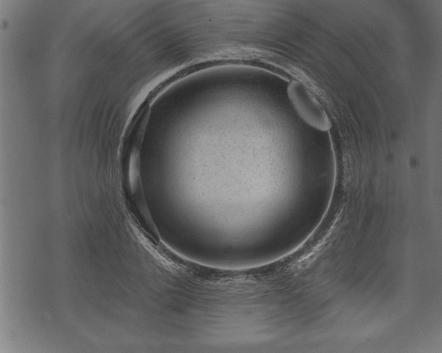 X0000073890838200608180931