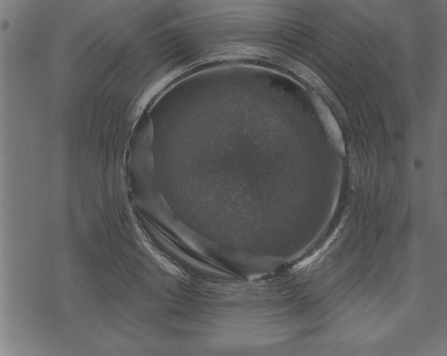 X0000073890842200608180931