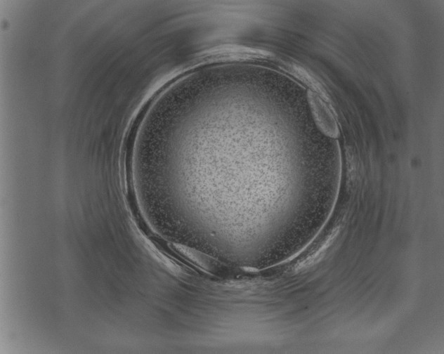 X0000073890843200608180931