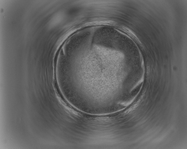 X0000073890844200608180931