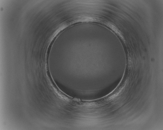 X0000073890845200608180931