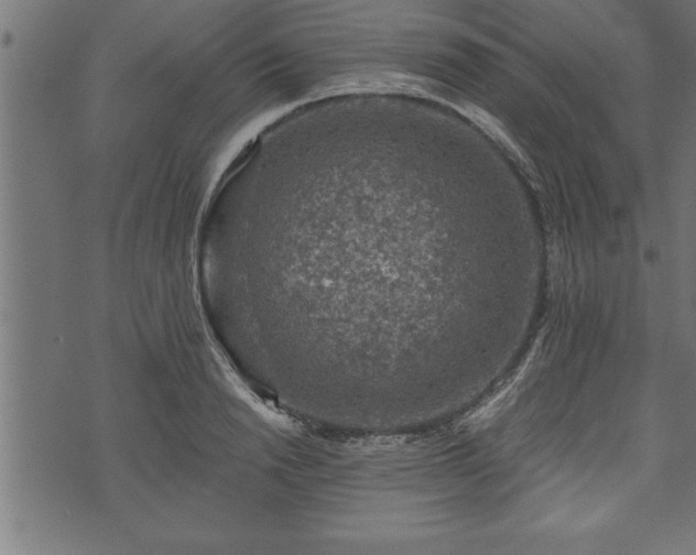 X0000073890846200608180932