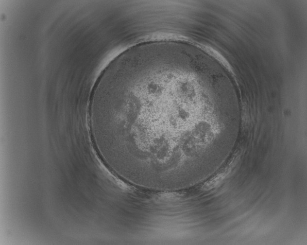 X0000073890847200608180932