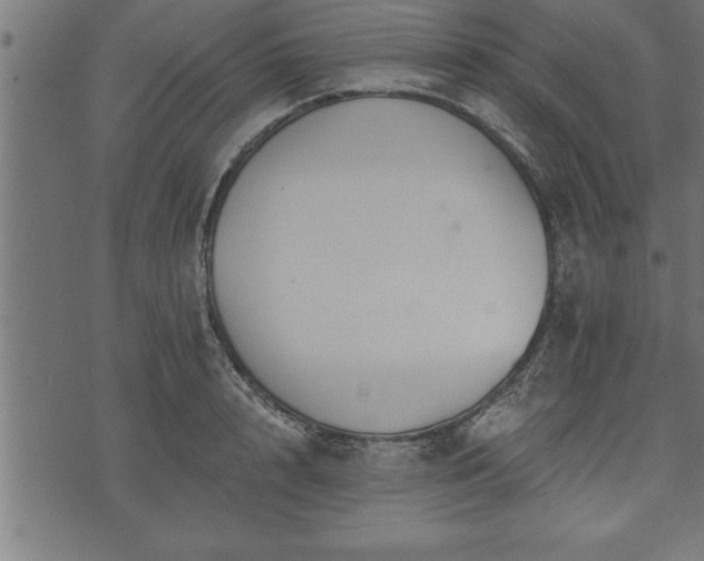 X0000073890848200608180932