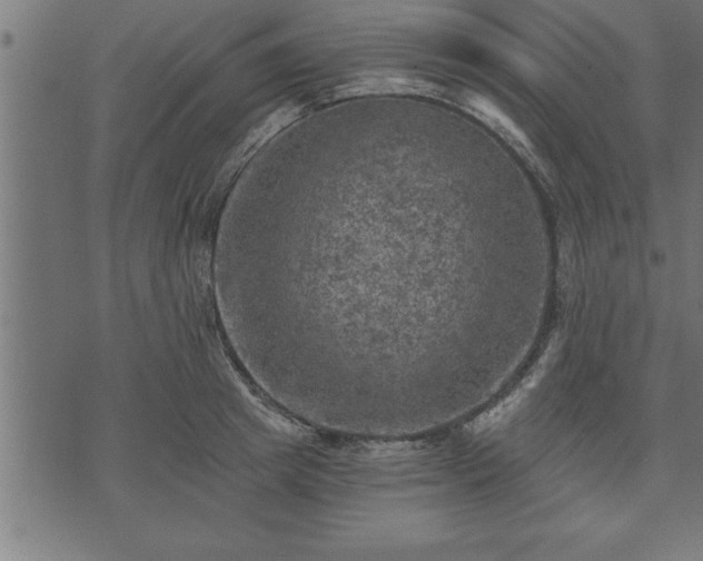 X0000073890849200608180932