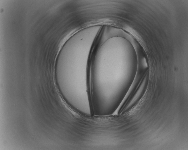 X0000073890850200608180932