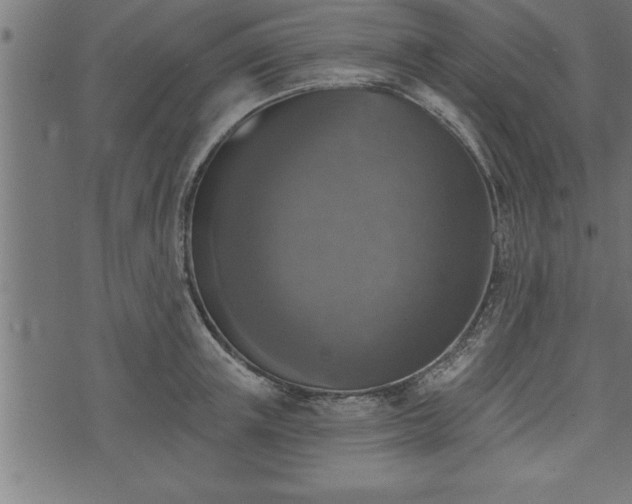 X0000073890851200608180932