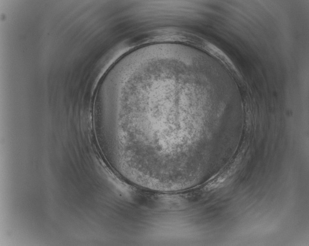 X0000073890852200608180932