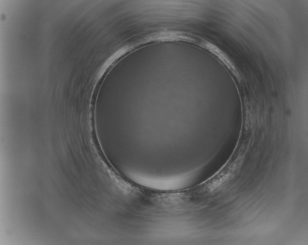 X0000073890853200608180932