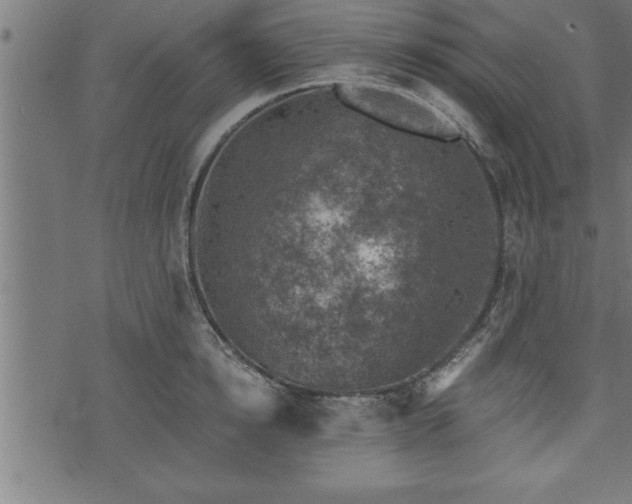 X0000073890854200608180932