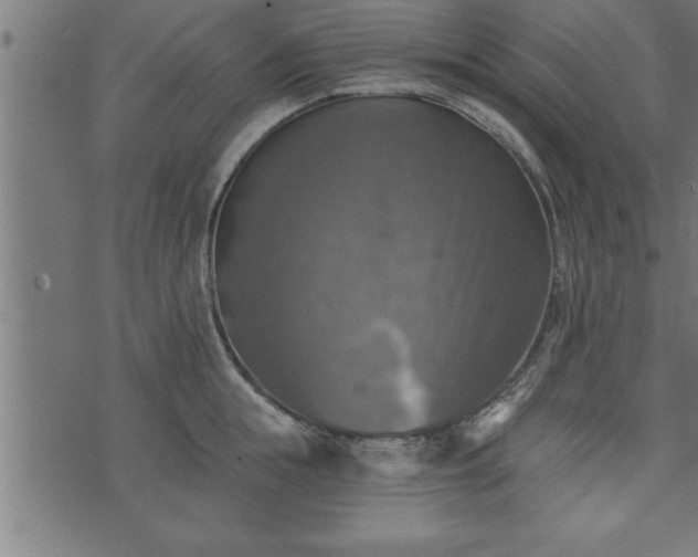 X0000073890855200608180932