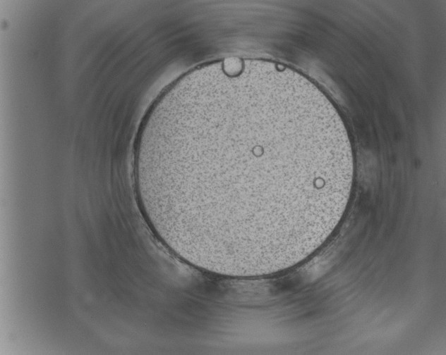 X0000073890856200608180932