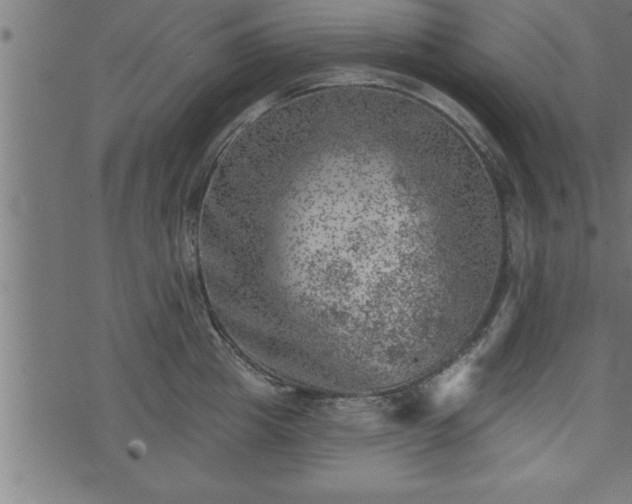 X0000073890857200608180932