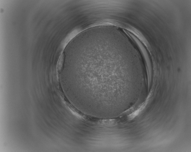 X0000073890858200608180932