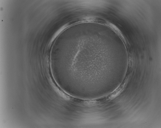 X0000073890859200608180932