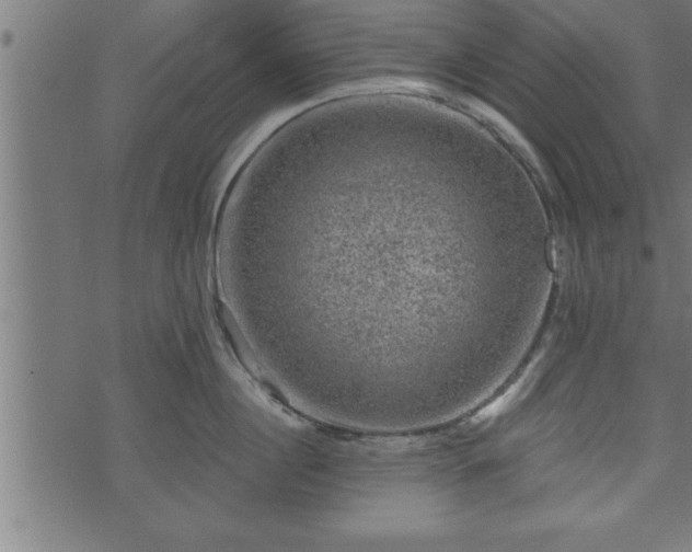 X0000073890860200608180932