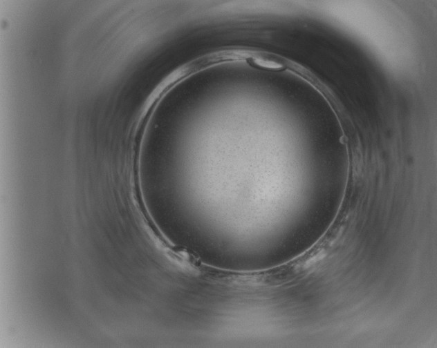 X0000073890861200608180932