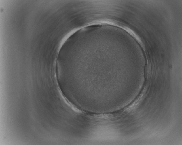 X0000073890862200608180932