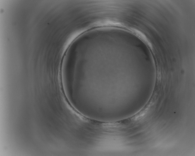 X0000073890863200608180932