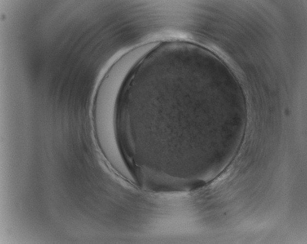 X0000073890864200608180932