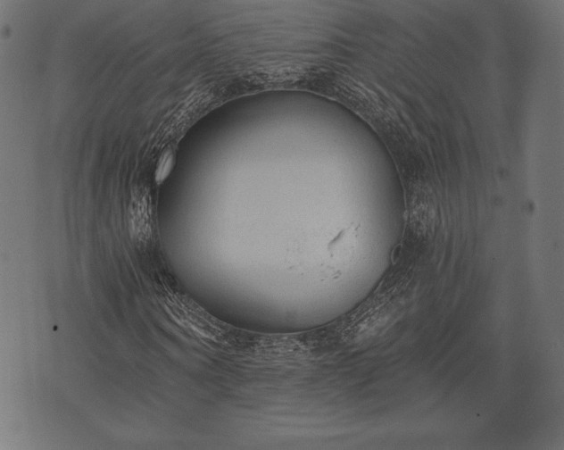 X0000073890866200608180931