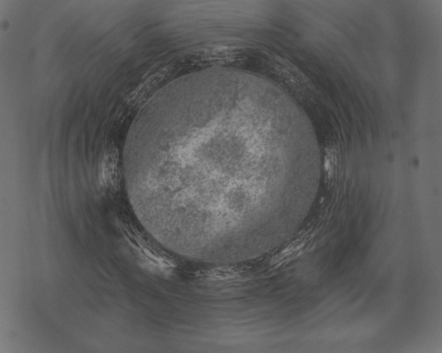 X0000073890867200608180931