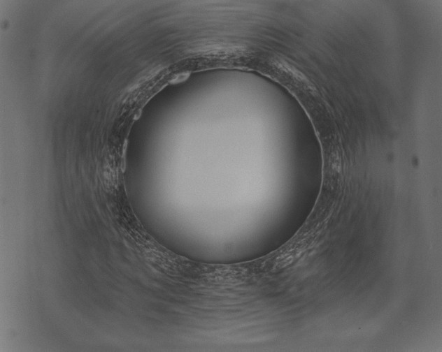 X0000073890869200608180931