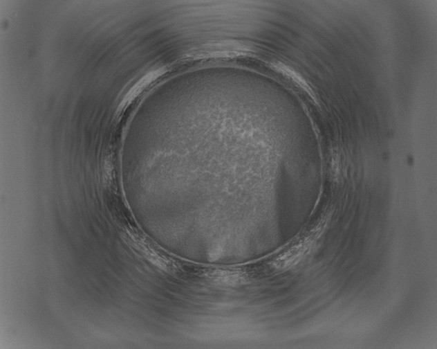 X0000073890874200608180931