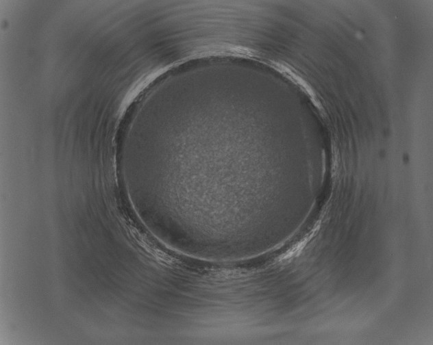 X0000073890877200608180931