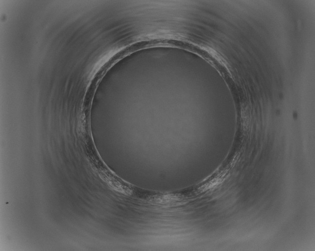 X0000073890879200608180931