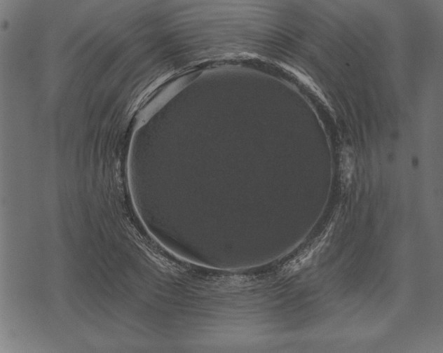 X0000073890881200608180931