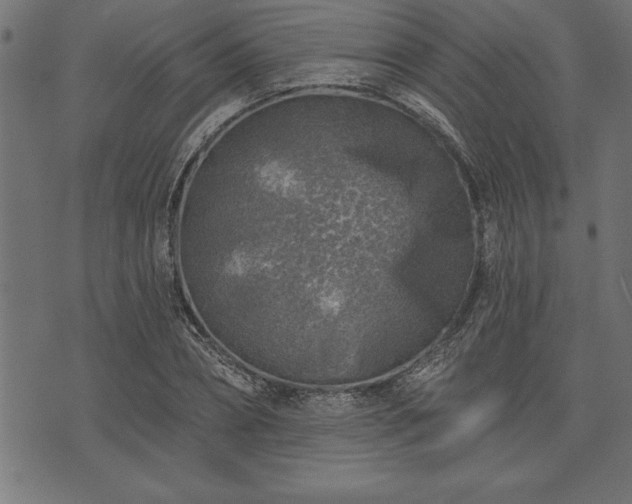 X0000073890882200608180931