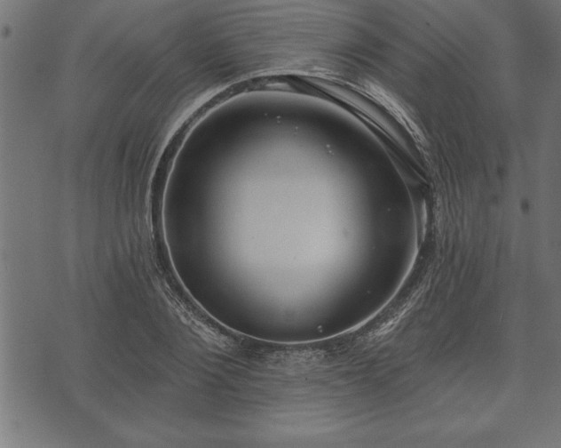 X0000073890884200608180931